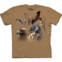 Vögel