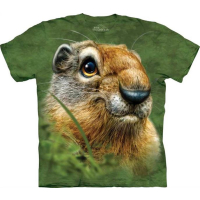 Wildtiere