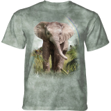 The Mountain T-Shirt Baby Elephant