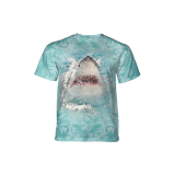The Mountain T-Shirt Wicked Awesome Shark
