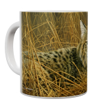 Kaffeetasse, Mug, Kaffebecher "Bobcat"