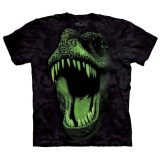 The Mountain Kinder T-Shirt "Big Face Glow Rex" S