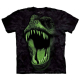 The Mountain Kinder T-Shirt "Big Face Glow Rex" S