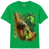 The Coloured House Kinder T-Shirt "Hanging Orangutan"