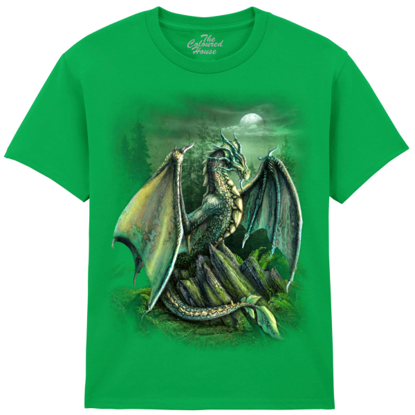 The Coloured House Kinder T-Shirt "Garwin Dragon"