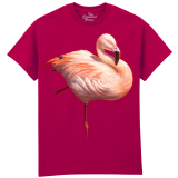 The Coloured House Erwachsenen T-Shirt "Flame Flamingo"