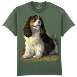 The Coloured House Erwachsenen T-Shirt "Cavalier...