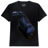 The Coloured House Kinder T-Shirt "The Messenger - Raven"