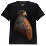 The Coloured House Kinder T-Shirt "The Hunter - Golden Eagle"