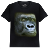 The Coloured House Kinder T-Shirt "Wild Eyes - Silverback"