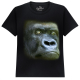 The Coloured House Kinder T-Shirt "Wild Eyes - Silverback"