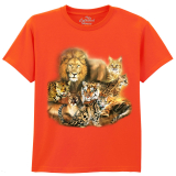 The Coloured House Kinder T-Shirt "Cat Power"