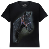 The Coloured House Kinder T-Shirt "Pride Of The Pasture - Horse"