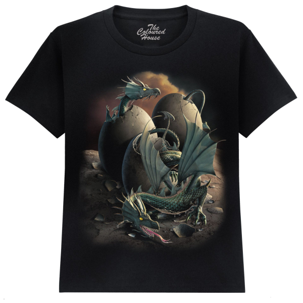 The Coloured House Kinder T-Shirt "Dragon Offspring"