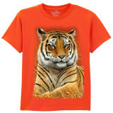 The Coloured House Kinder T-Shirt "Graceful Tiger"