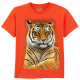 The Coloured House Kinder T-Shirt "Graceful Tiger"