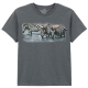 The Coloured House Kinder T-Shirt "Zebra Water Hole"