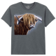 The Coloured House Kinder T-Shirt "Highland Bull"
