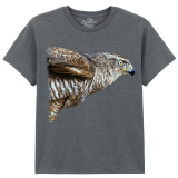 The Coloured House Kinder T-Shirt "Watchful - Hawk"