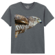 The Coloured House Kinder T-Shirt "Watchful - Hawk"