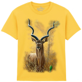 The Coloured House Kinder T-Shirt "Kudu"