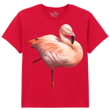 The Coloured House Kinder T-Shirt "Flame Flamingo"