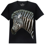 The Coloured House Kinder T-Shirt "Zebra Foal"