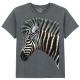 The Coloured House Kinder T-Shirt "Zebra Foal"