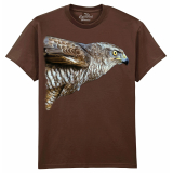 The Coloured House Erwachsenen T-Shirt "Watchful - Hawk"