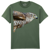 The Coloured House Erwachsenen T-Shirt "Watchful - Hawk"