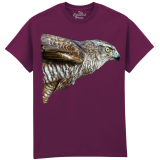 The Coloured House Erwachsenen T-Shirt "Watchful - Hawk"