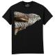 The Coloured House Erwachsenen T-Shirt "Watchful - Hawk"