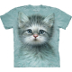 The Mountain Erwachsenen T-Shirt "Blue Eyed Kitten"