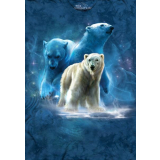 The Mountain Erwachsenen T-Shirt "Polar Collage"