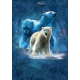 The Mountain Erwachsenen T-Shirt "Polar Collage"