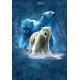The Mountain Erwachsenen T-Shirt "Polar Collage" L