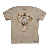  Kinder T-Shirt Lion Pack