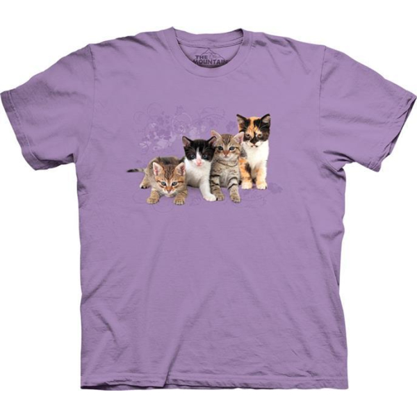  Kinder T-Shirt Kitten Row