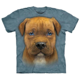  Kinder T-Shirt Pit Bull Puppy