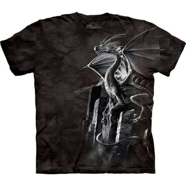 The Mountain Erwachsenen T-Shirt "Silver Dragon"