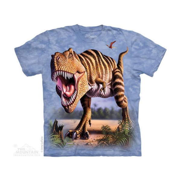 Kinder T-Shirt "Striped Rex"