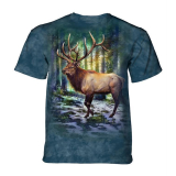  T-Shirt Sunlit Elk