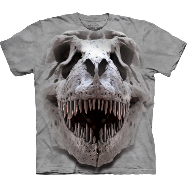  Kinder T-Shirt T-Rex Big Skull