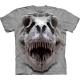 Kinder T-Shirt "T-Rex Big Skull" S