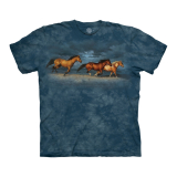 The Mountain Erwachsenen T-Shirt "Thunder Ridge" L