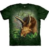 Kinder T-Shirt "Wild Triceratops"