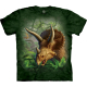 Kinder T-Shirt "Wild Triceratops"
