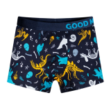 Jungen Boxershorts „Dinosaurs“ von Dedoles...