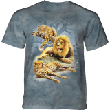  Kinder T-Shirt Three Kings Big Cats