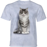  Kinder T-Shirt Norwegian Forest Cat